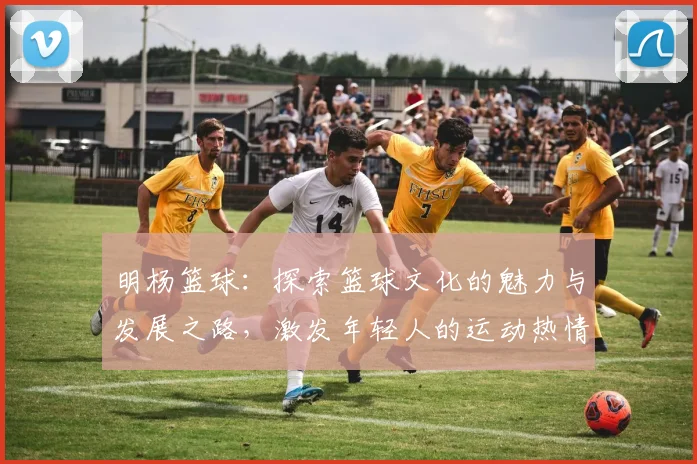 明杨篮球：探索篮球文化的魅力与发展之路，激发年轻人的运动热情与团队精神