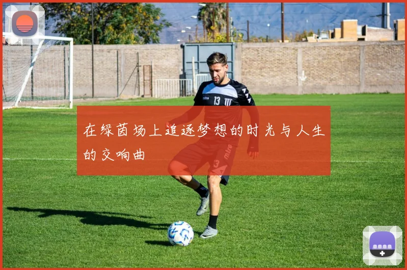 在绿茵场上追逐梦想的时光与人生的交响曲