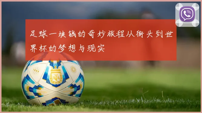 足球一块钱的奇妙旅程从街头到世界杯的梦想与现实