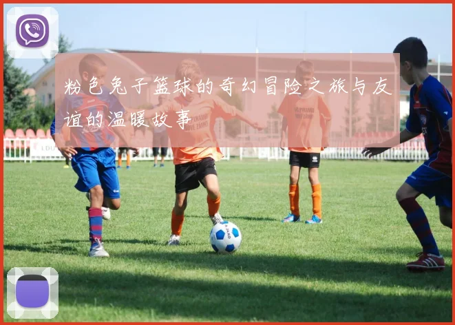 粉色兔子篮球的奇幻冒险之旅与友谊的温暖故事