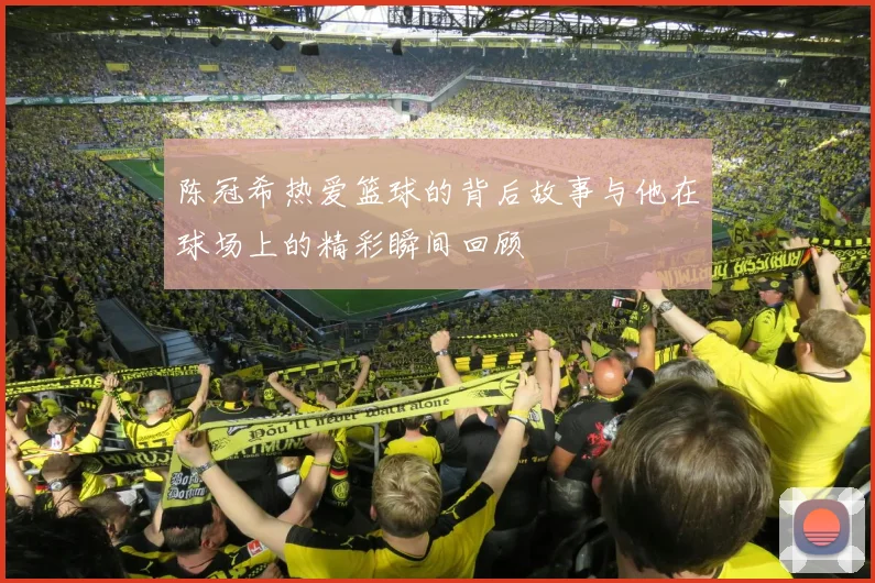 陈冠希热爱篮球的背后故事与他在球场上的精彩瞬间回顾