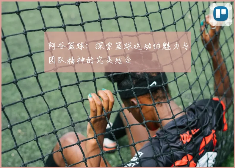 阿谷篮球：探索篮球运动的魅力与团队精神的完美结合