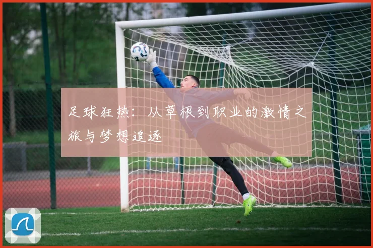 足球狂热：从草根到职业的激情之旅与梦想追逐